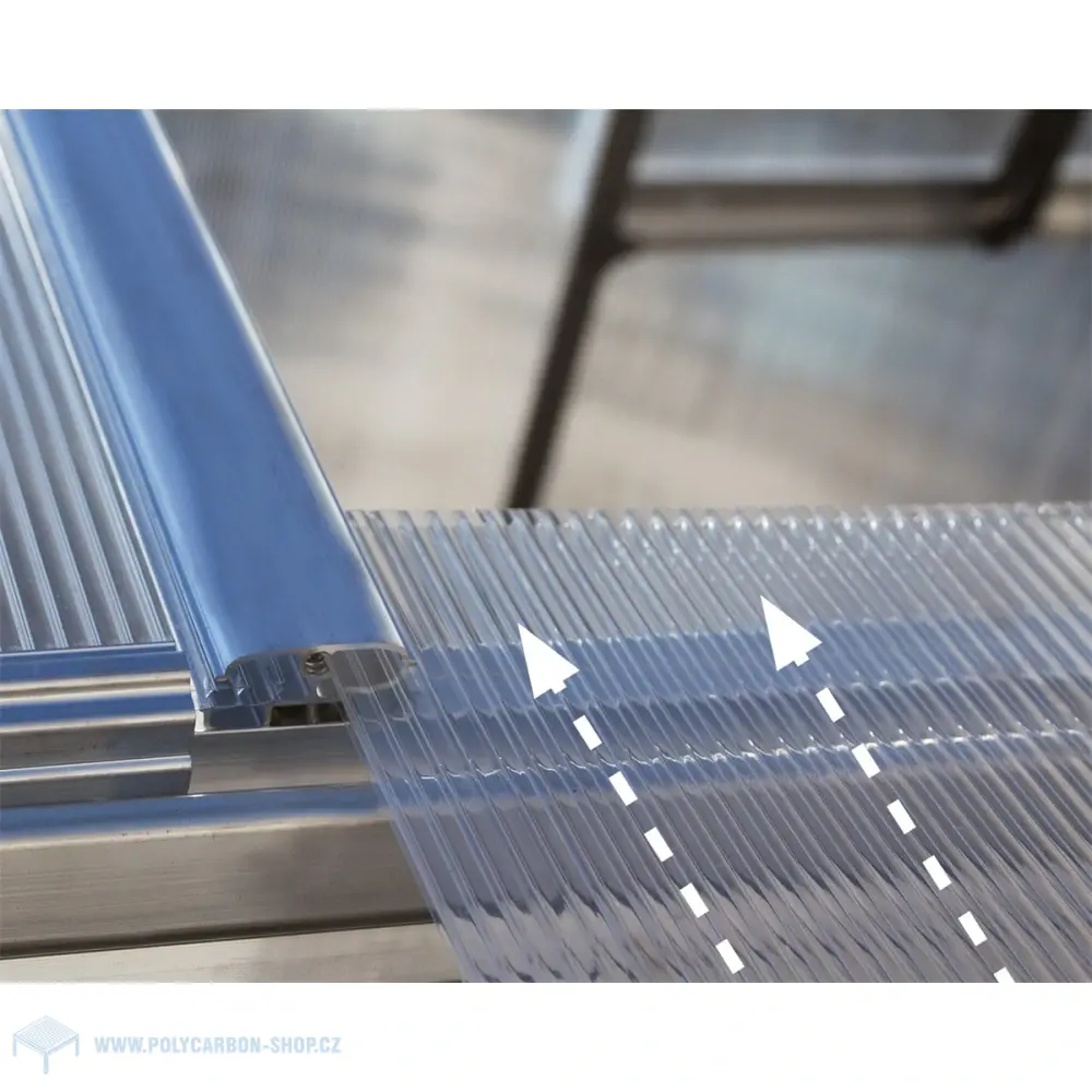 Palram - Canopia Hybrid 6x10