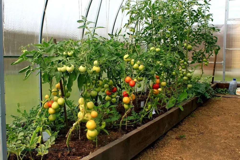 POLYKARBONÁTOVÝ SKLENÍK GrowDome 3x2x6 m (výplň 4,0mm)