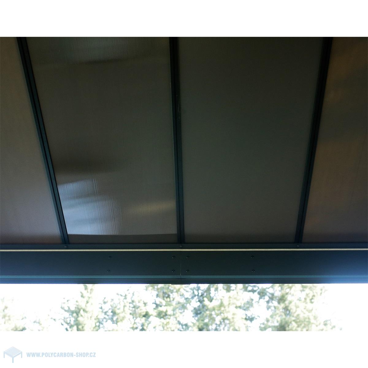 Palram - Canopia Dallas 14x16