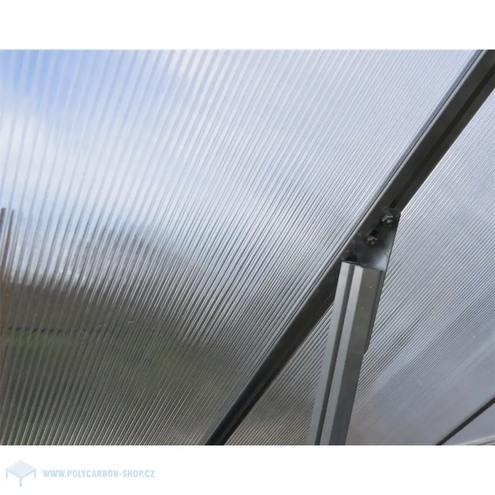 Palram - Canopia Hybrid 6x10