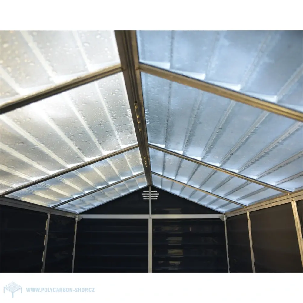 Palram - Canopia Skylight antracit